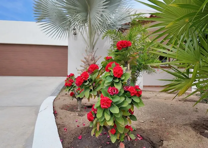 Casita Gecko Hébergement de vacances