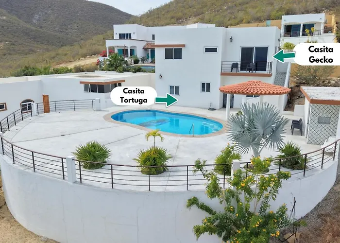 Casita Gecko